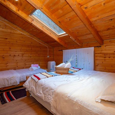 Bee Eco Guest House Moll' e Shoshit Exteriér fotografie