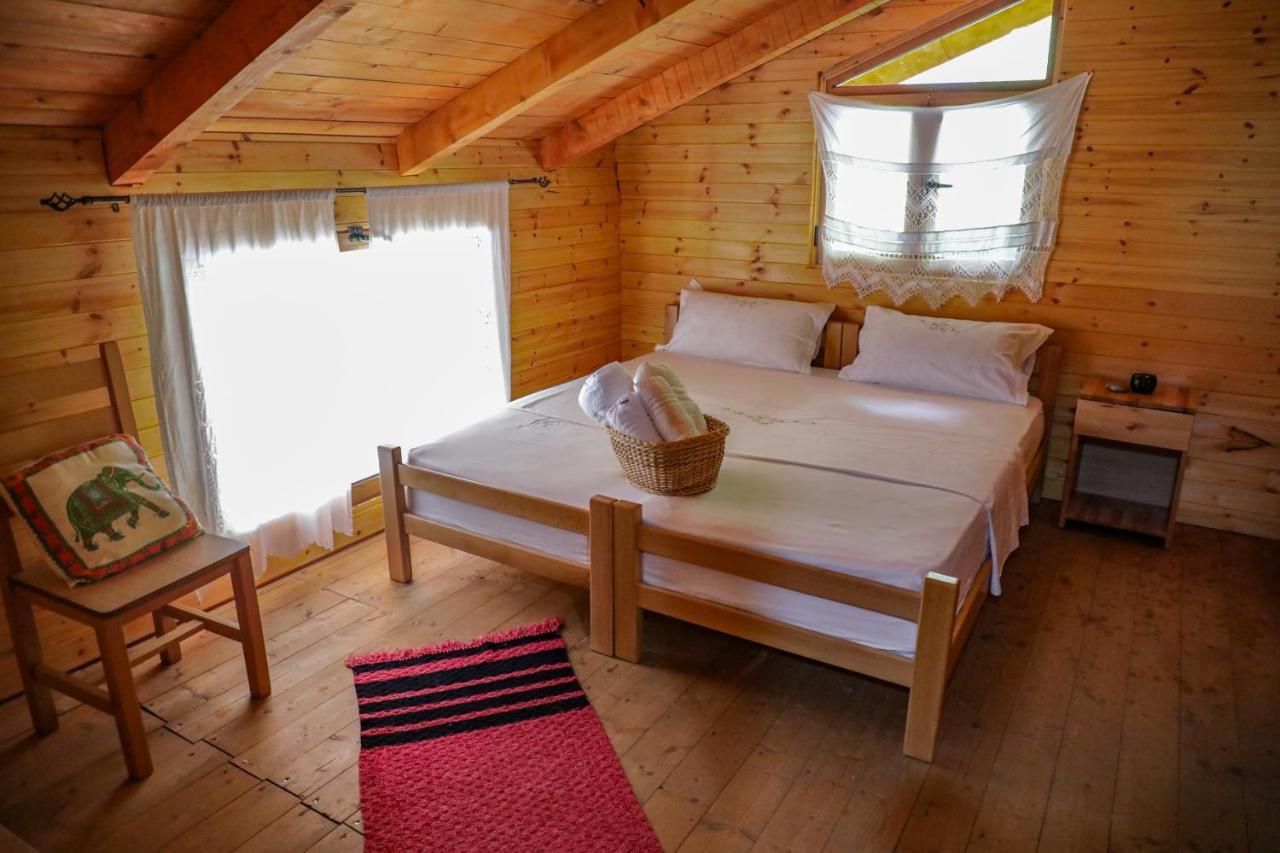 Bee Eco Guest House Moll' e Shoshit Exteriér fotografie
