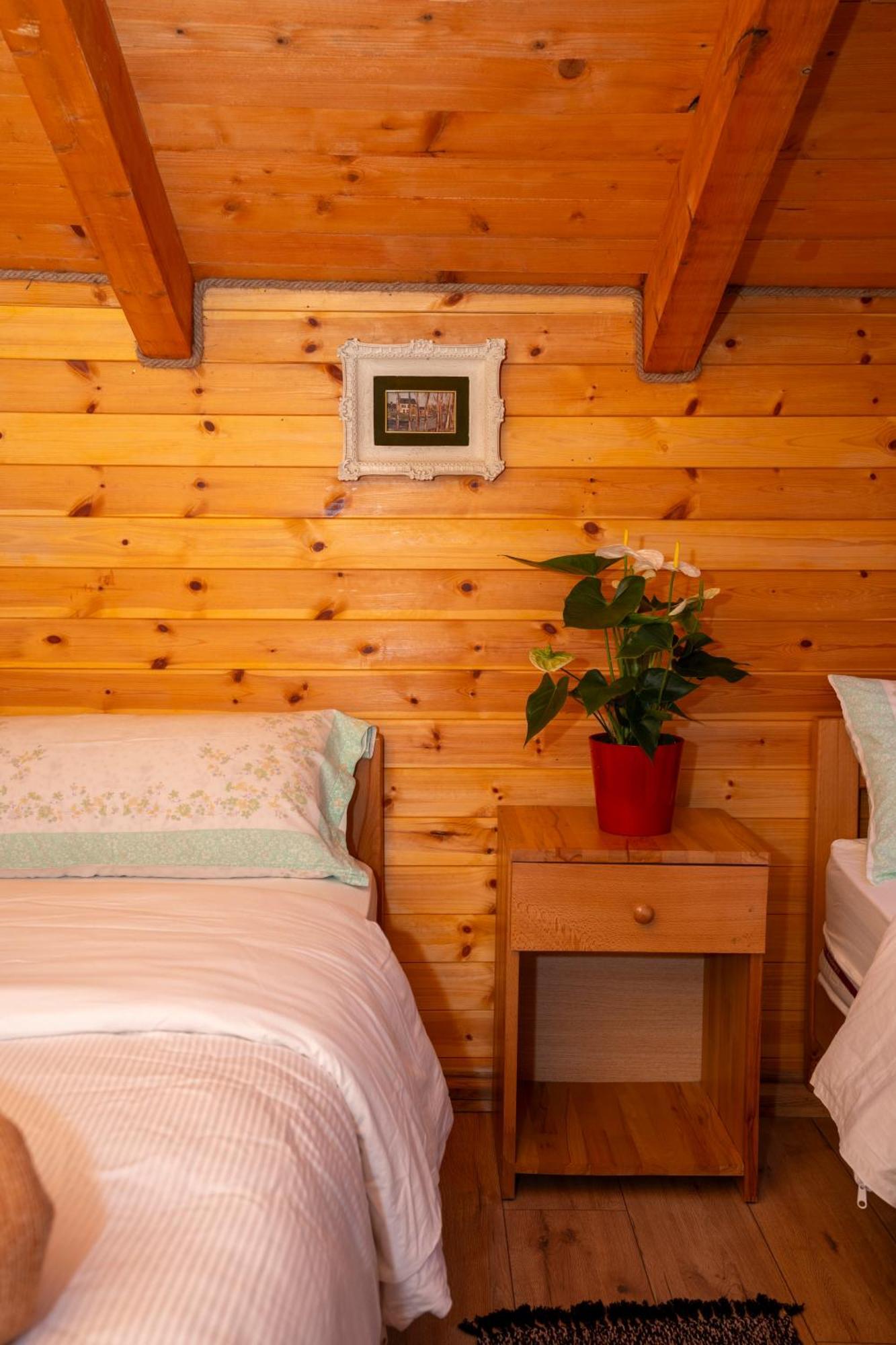 Bee Eco Guest House Moll' e Shoshit Exteriér fotografie