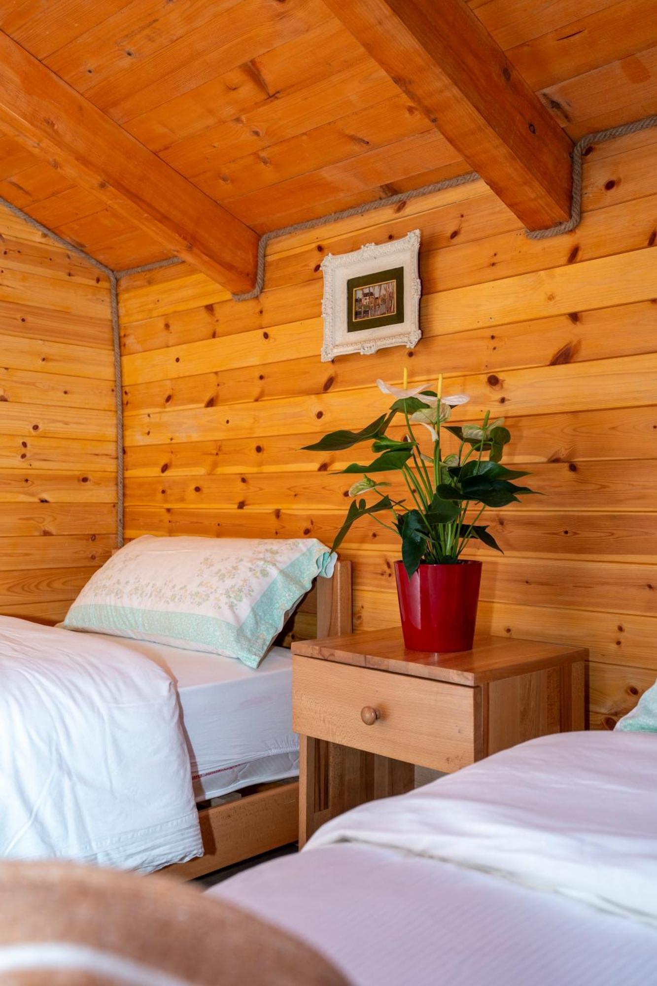 Bee Eco Guest House Moll' e Shoshit Exteriér fotografie